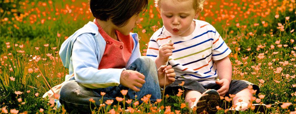 Harmony Preschool, Asheville NC