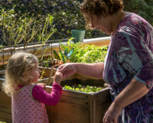 Garden goodies at Asheville Daycare